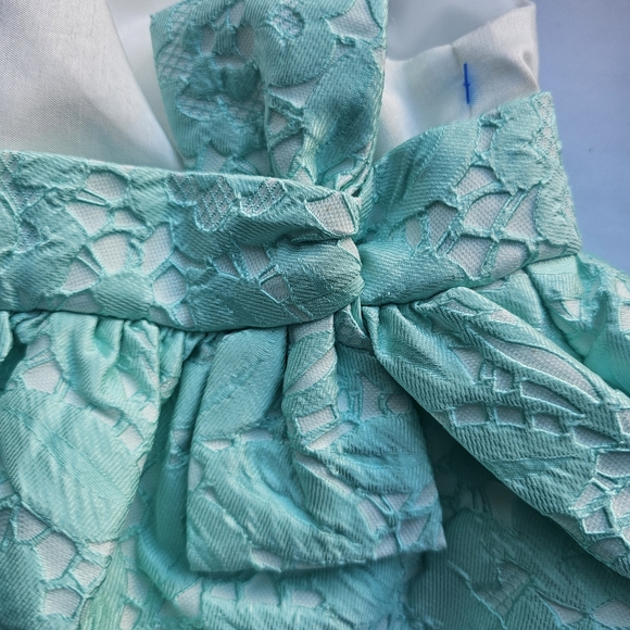 (2 for $15) Gymboree dress and Baby Starters skirt 12months - Picture 9 of 9